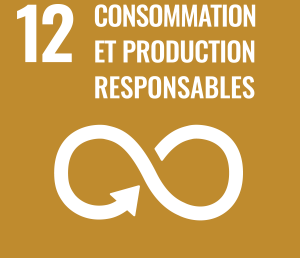 CONSOMMATION ET PRODUCTION RESPONSABLES