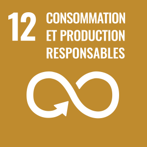 CONSOMMATION ET PRODUCTION RESPONSABLES CONSOMMATION ET PRODUCTION RESPONSABLES