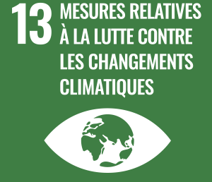 MESURES RELATIVES A LA LUTTE CONTRE LES CHANGEMENTS CLIMATIQUES
