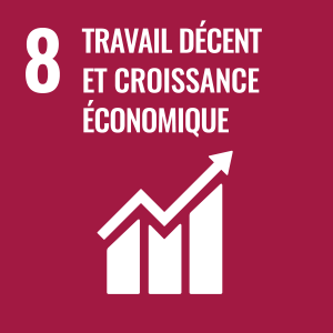TRAVAIL DÉCENT ET CROISSANCE ÉCONOMIQUE TRAVAIL DÉCENT ET CROISSANCE ÉCONOMIQUE