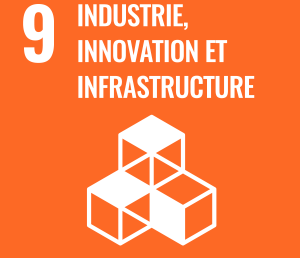 INDUSTRIE, INNOVATION ET INFRASTRUCTURE