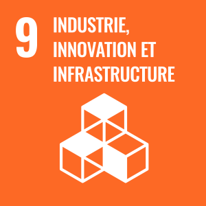INDUSTRIE, INNOVATION ET INFRASTRUCTURE INDUSTRIE, INNOVATION ET INFRASTRUCTURE